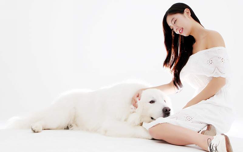 京東是否有自(zì)己的企業文化和(hé)價值觀體系?|APP開(kāi)發|小程序開(kāi)發|軟著申請(qǐng)